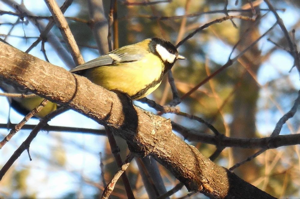 Фотография автора Павел Попов