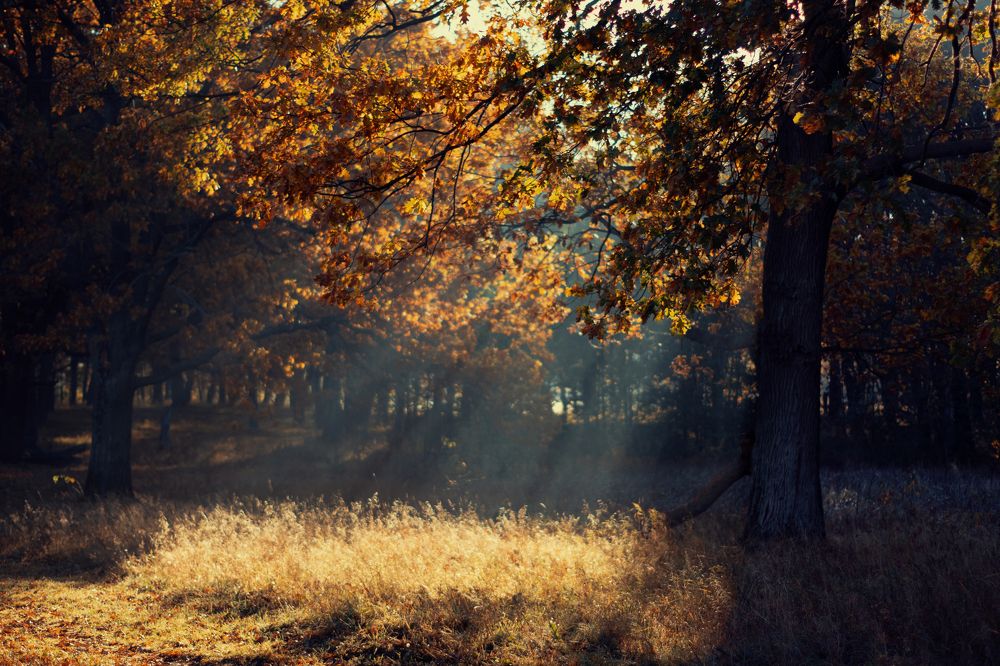 Photograph by Артём Аниськин