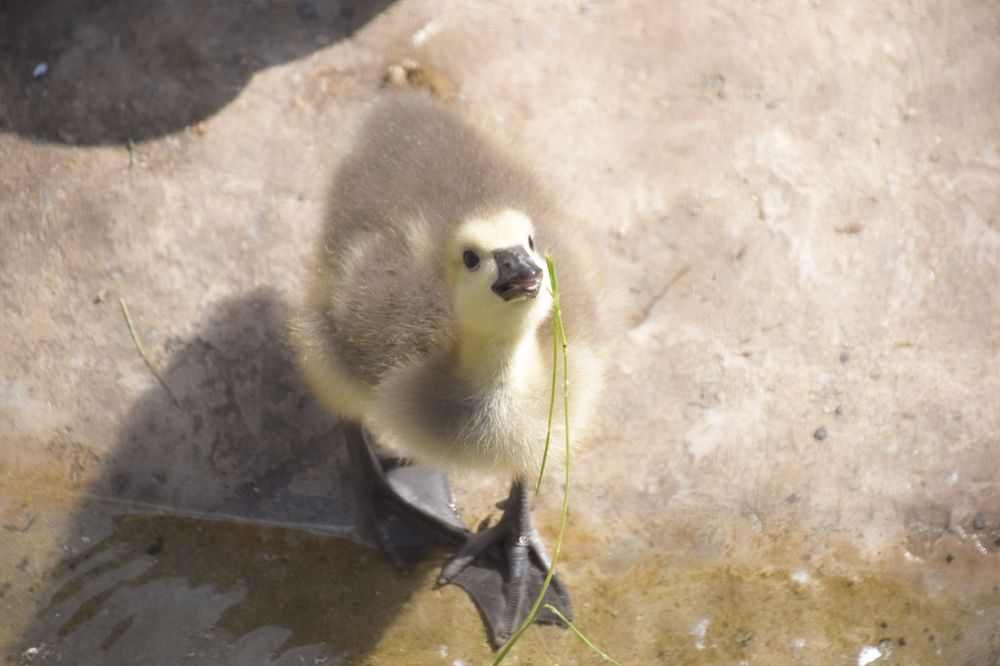 Photograph by Екатерина