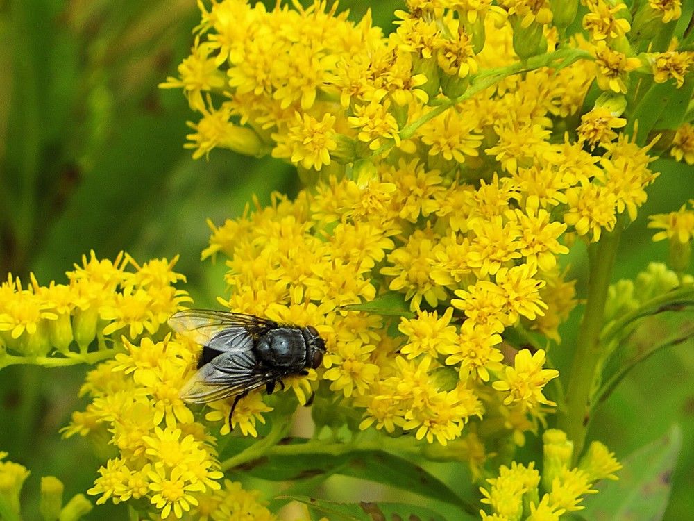 Photograph by Лариса Агеева