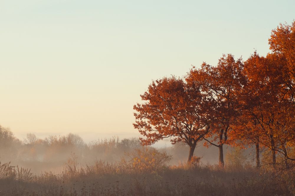 Photograph by Артём Аниськин