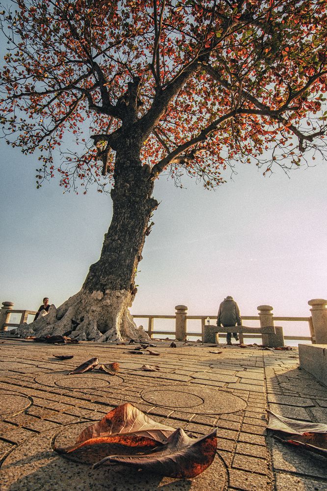 Photograph by Tran Khoa