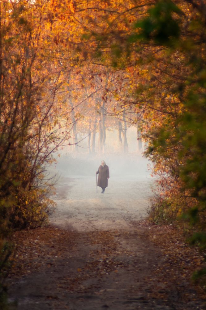 Photograph by Артём Аниськин