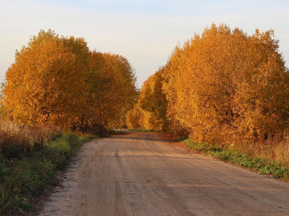 Фотография автора Андрей Шестаков