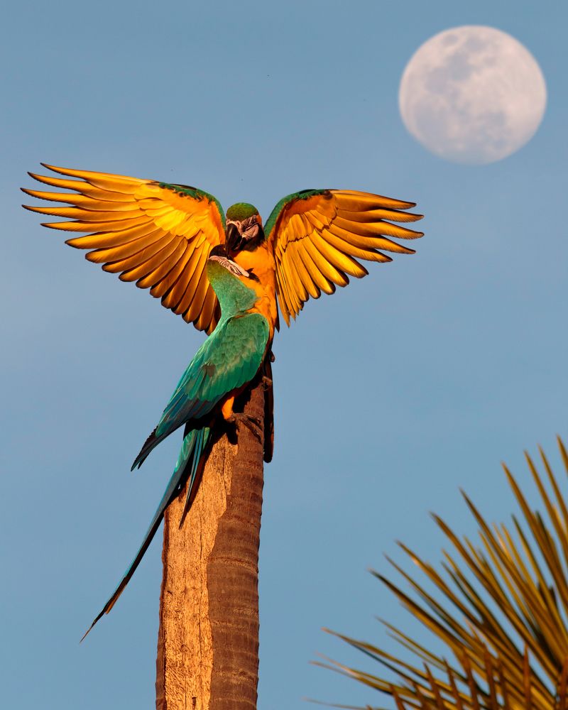 Photograph by Valdir Hobus