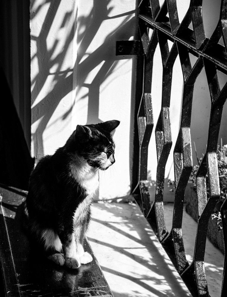 Photograph by Наталья