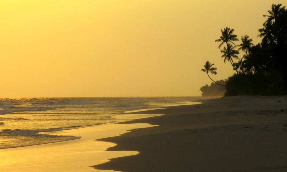 Photograph by Жанна Нечаева