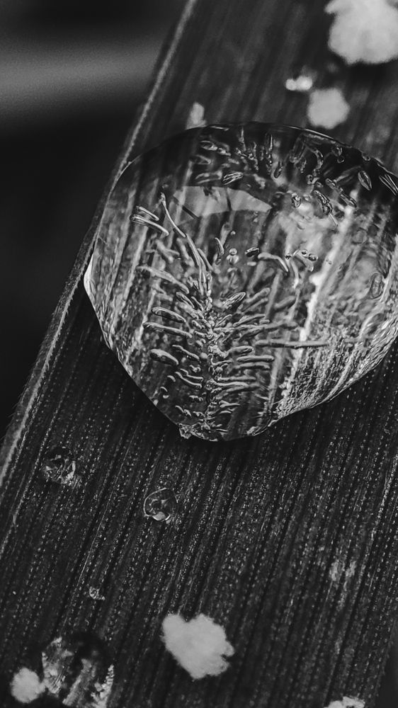 "Замороженная капля"