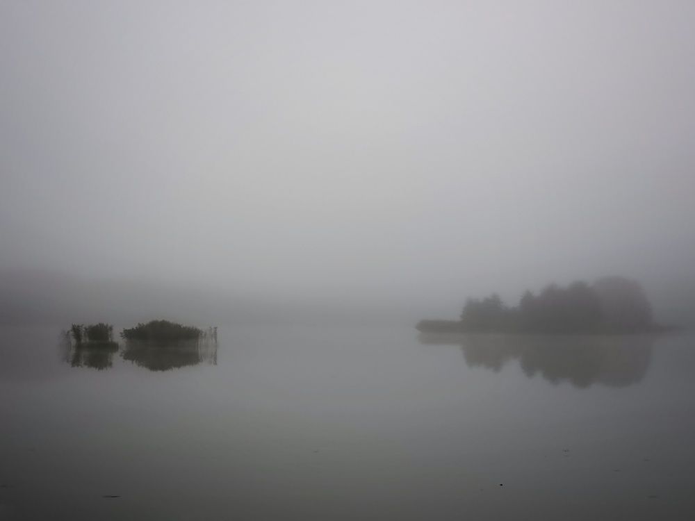Photo #11141041