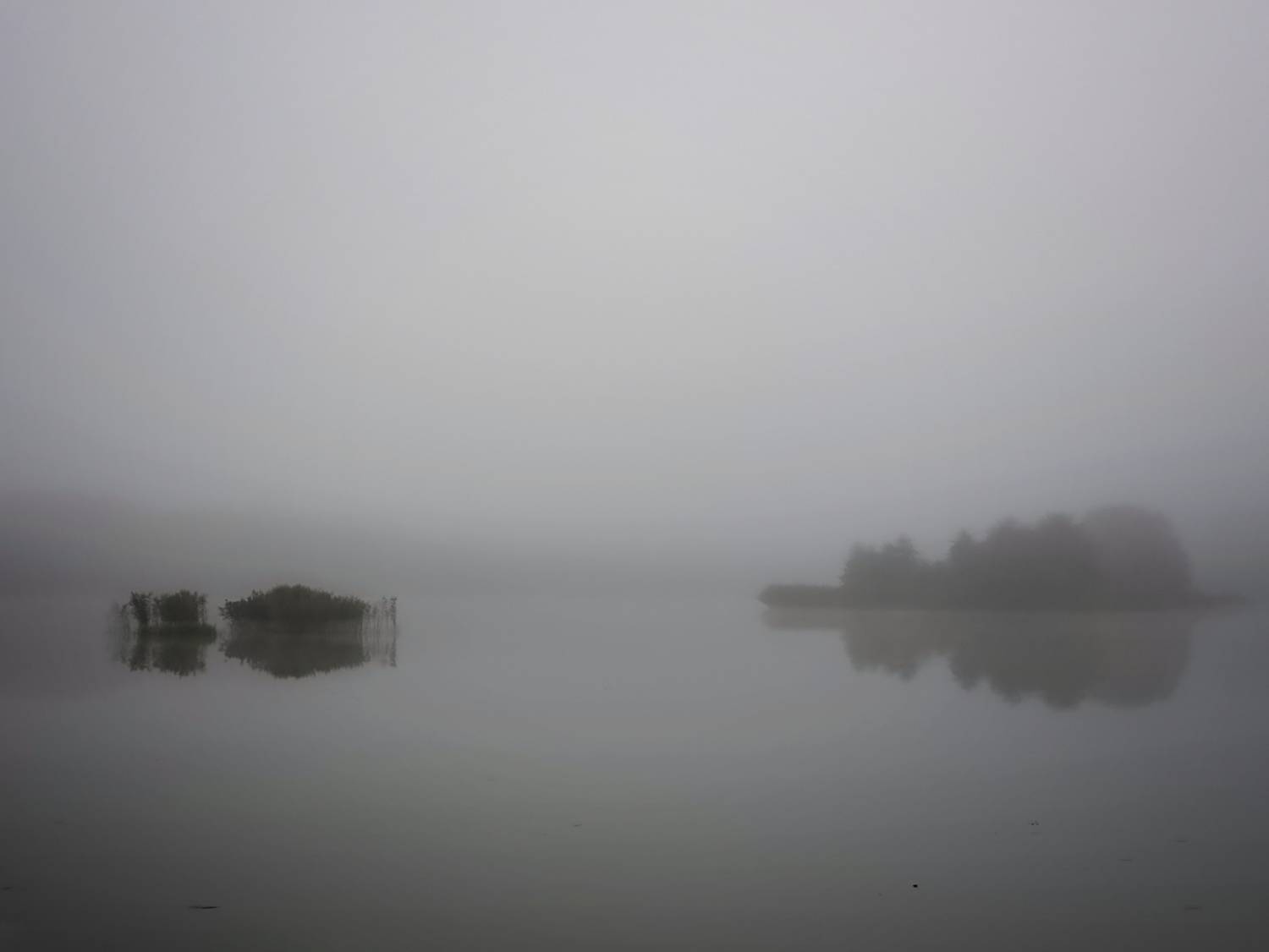 Photo #11141041