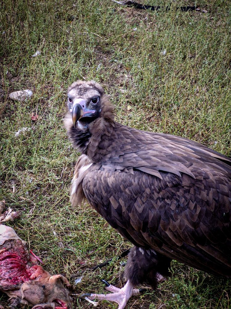 Photograph by Игорь Чечин