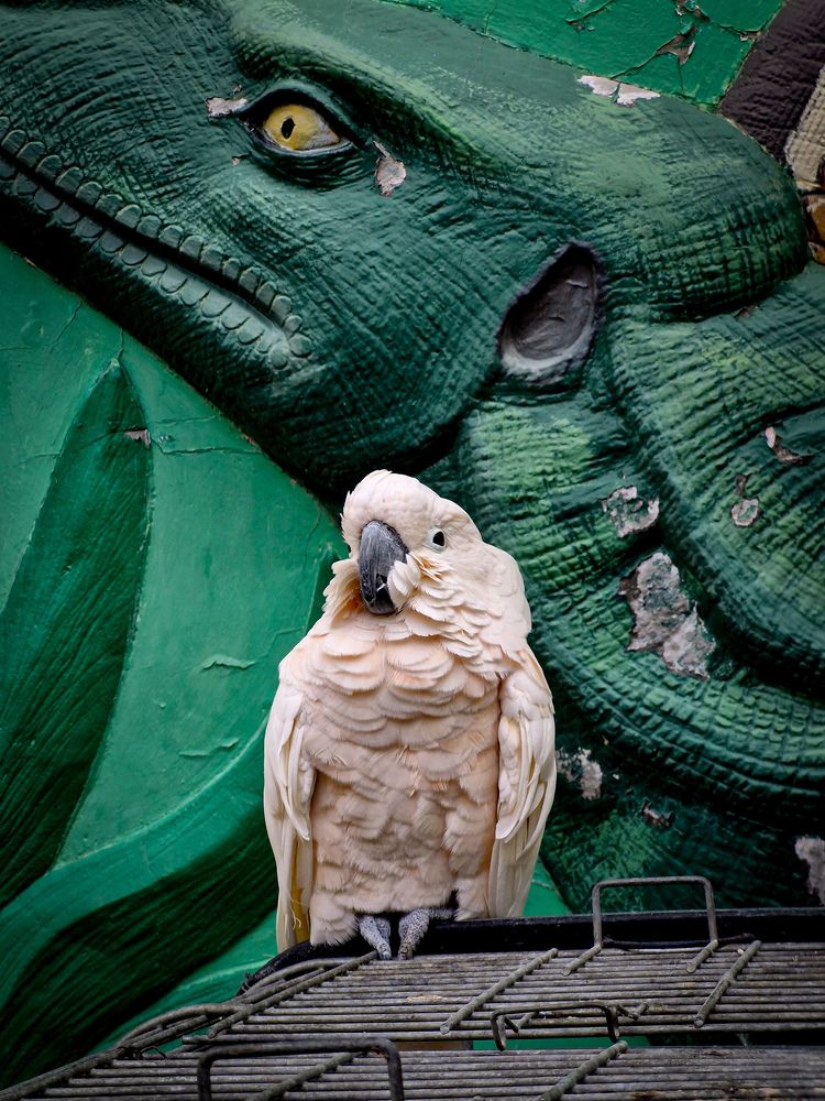 Photograph by Игорь Чечин