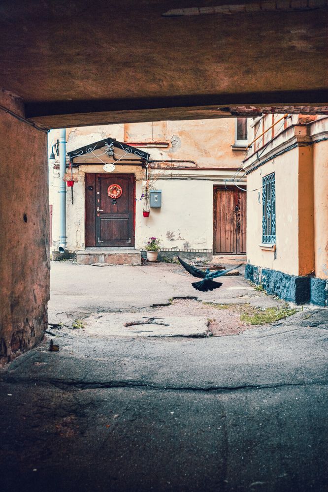 Photograph by Ольга Волкова