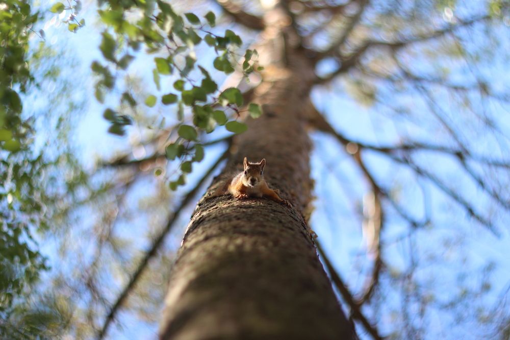 Photograph by Ирун Почётнова