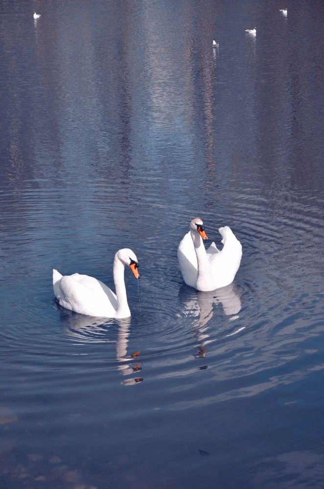 Photograph by Зыкова Мария