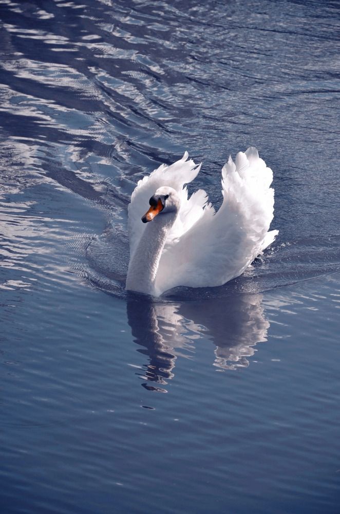 Photograph by Зыкова Мария