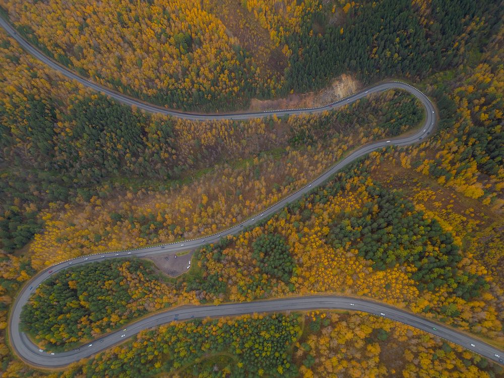 Фотография автора Иван Фомин