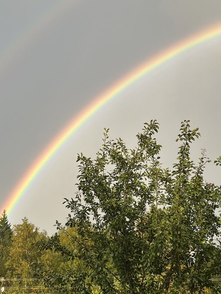Photograph by Евгения Лазарева
