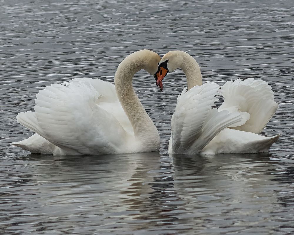 Photograph by Виктор Шапошников