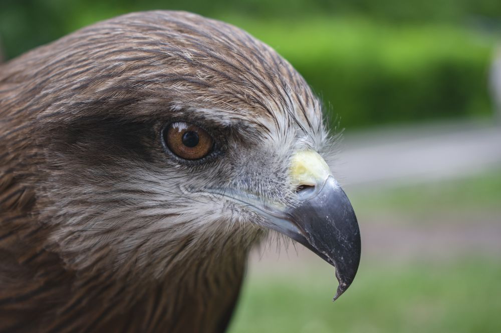 Photograph by Николай Владимирович