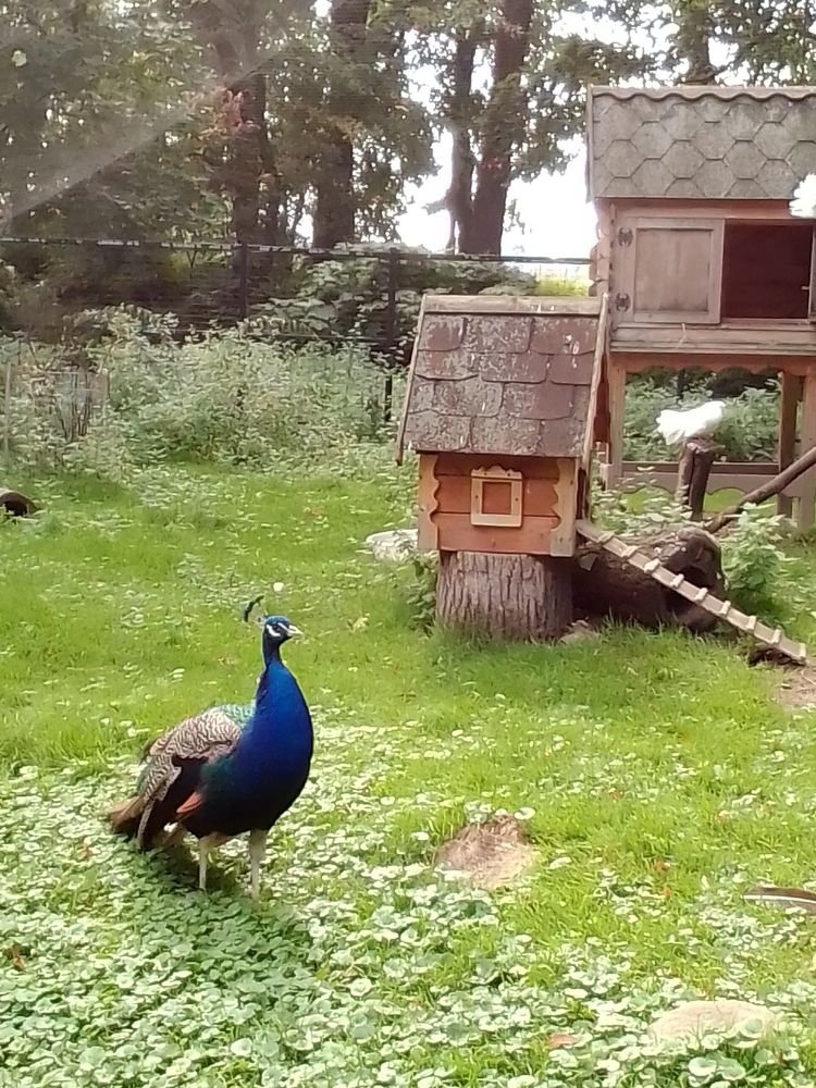 Photograph by Irina Mihailovskaya