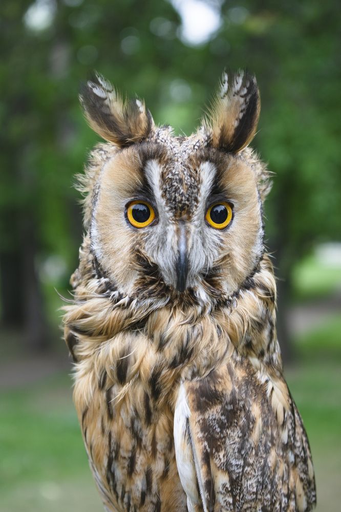 Photograph by Николай Владимирович