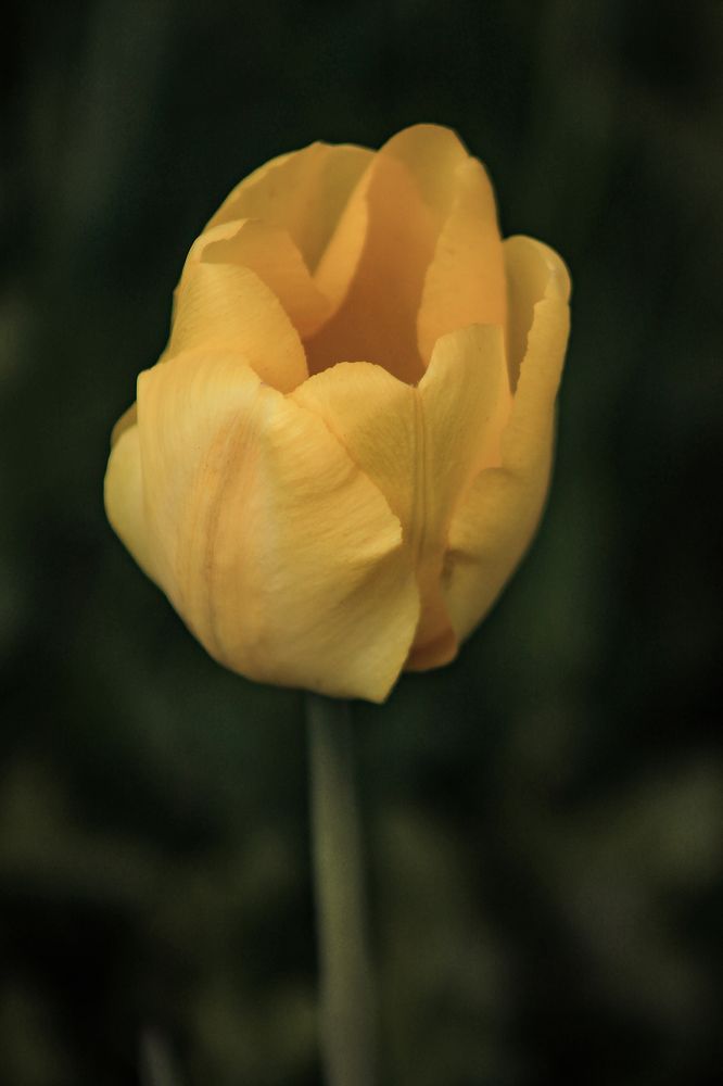 Photograph by Анастасия Псарёва