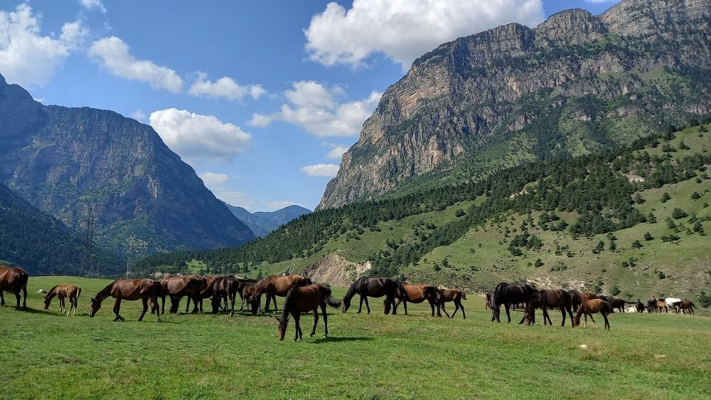 Photograph by Людмила Ярош