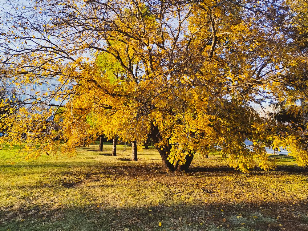 Photograph by Наталья Веряскина