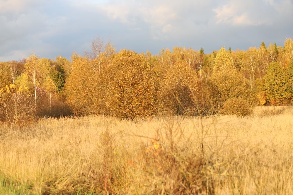 Photograph by Елена Лотник