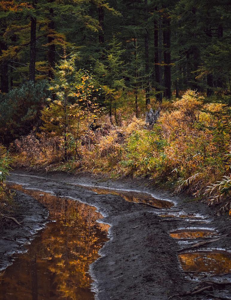 Photograph by Константин Пешков