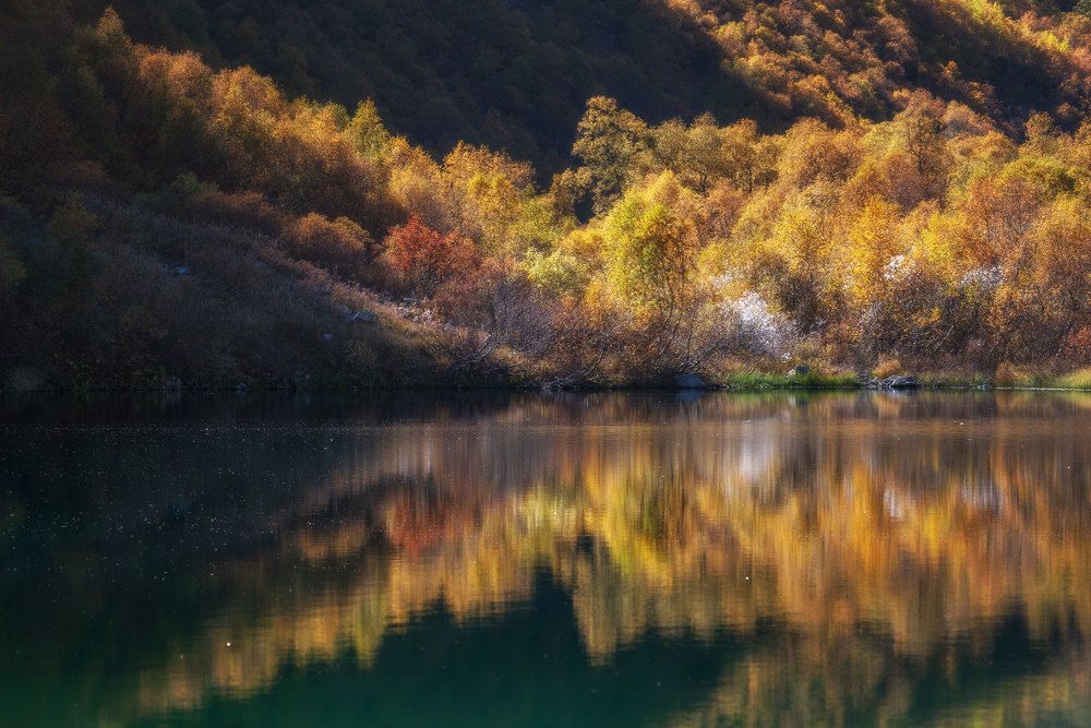 Photograph by Кахарова Наргиза