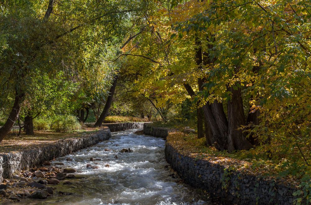 Photograph by Farkhad