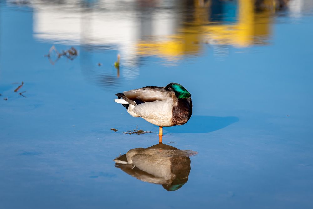 Photograph by Алексей Петров