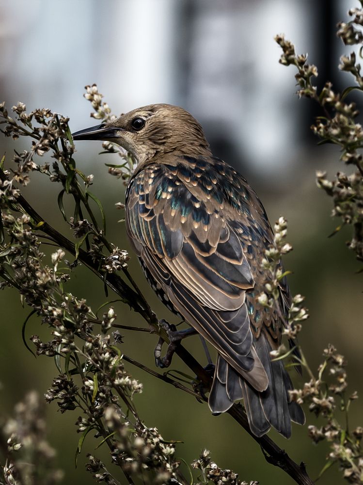 Photograph by Алексей Петров