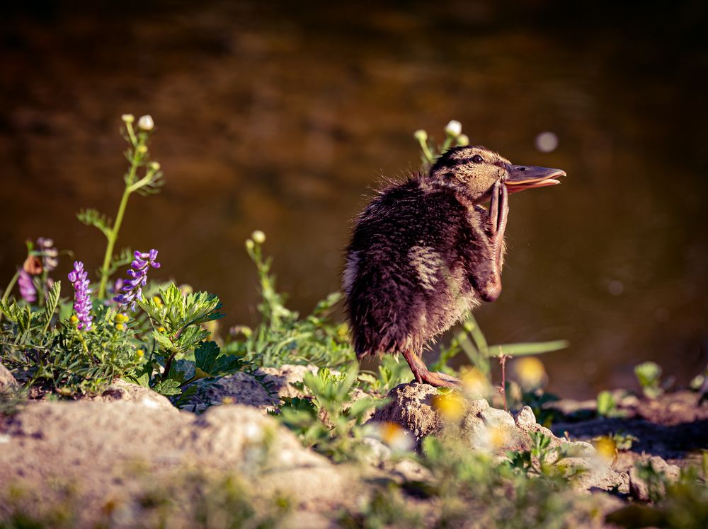 Photograph by Алексей Петров