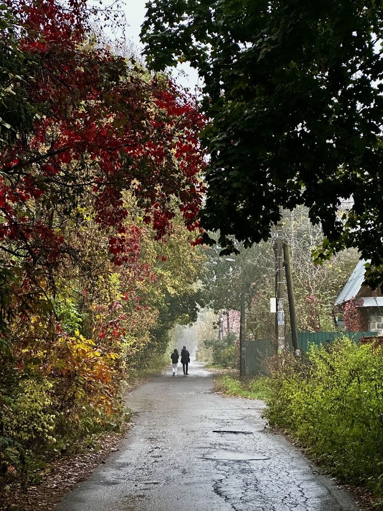 Photograph by Елена Брижеватая