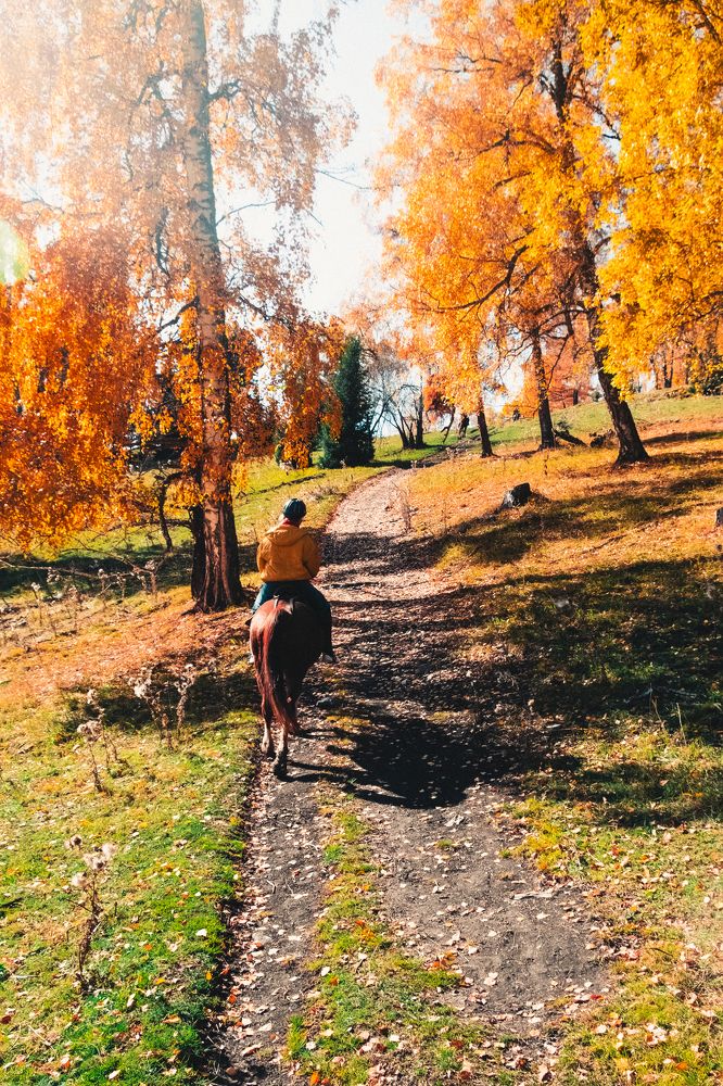 Photograph by Егор Кошелев