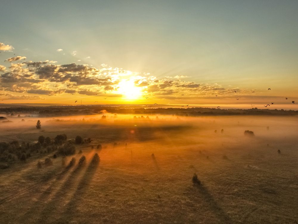 Photograph by Илья Воякин