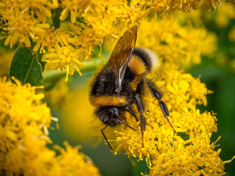 Photograph by Василий Губский