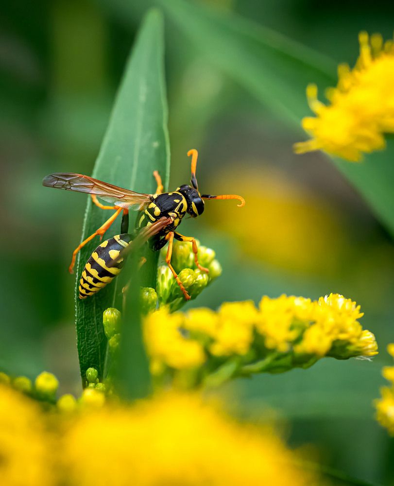 Photograph by Василий Губский
