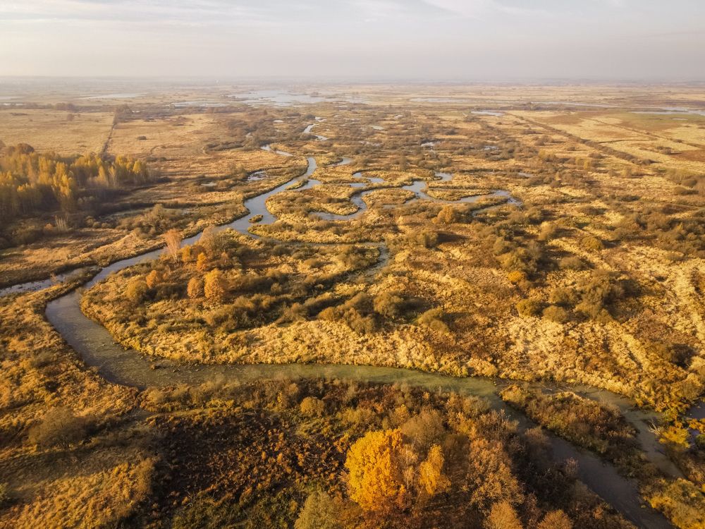 Photograph by Илья Воякин