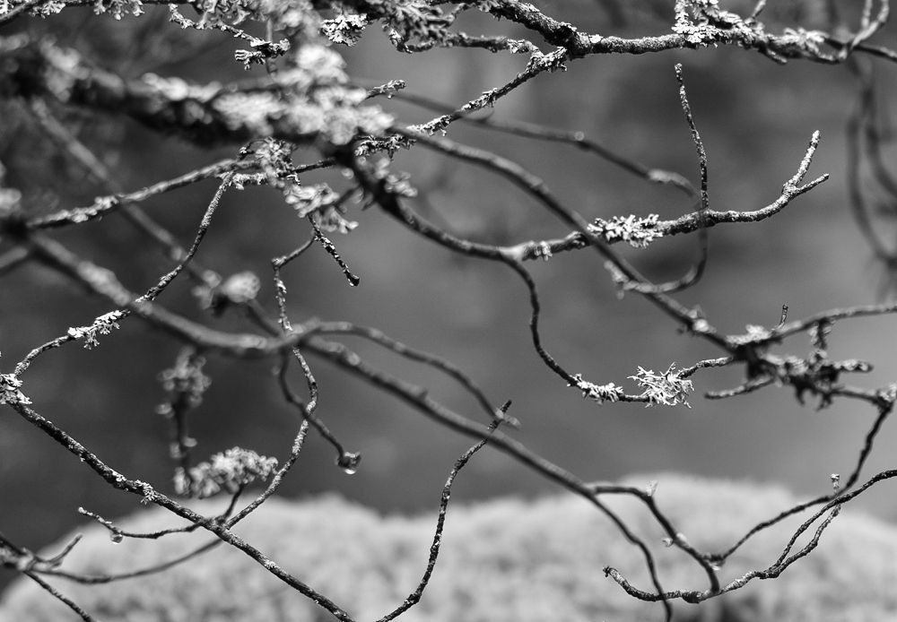 Photograph by Виктория Долотказина