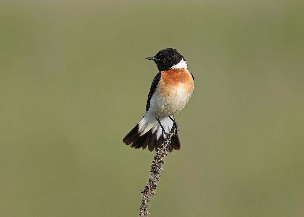 Photograph by Анатолий Садовский