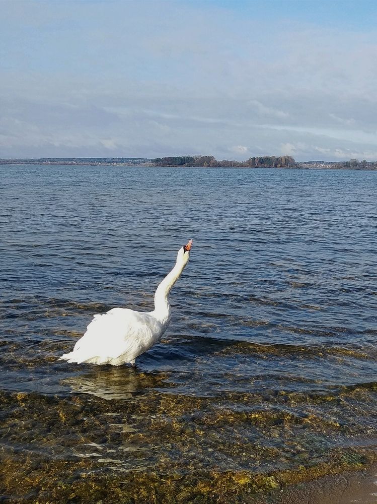 Photograph by Ия Дирко