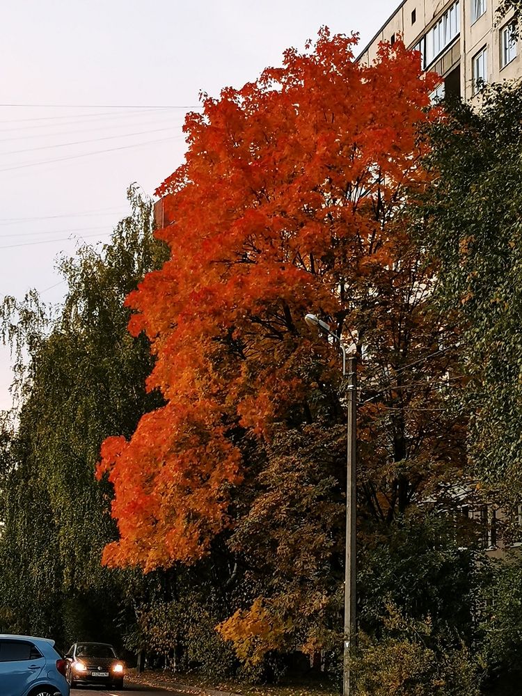 Photograph by Каковкина Ольга