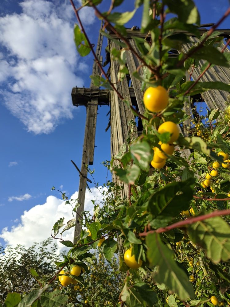 Photograph by Владимир Заборонок