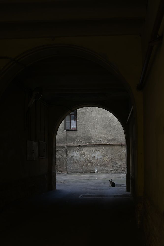 Photograph by Юлия