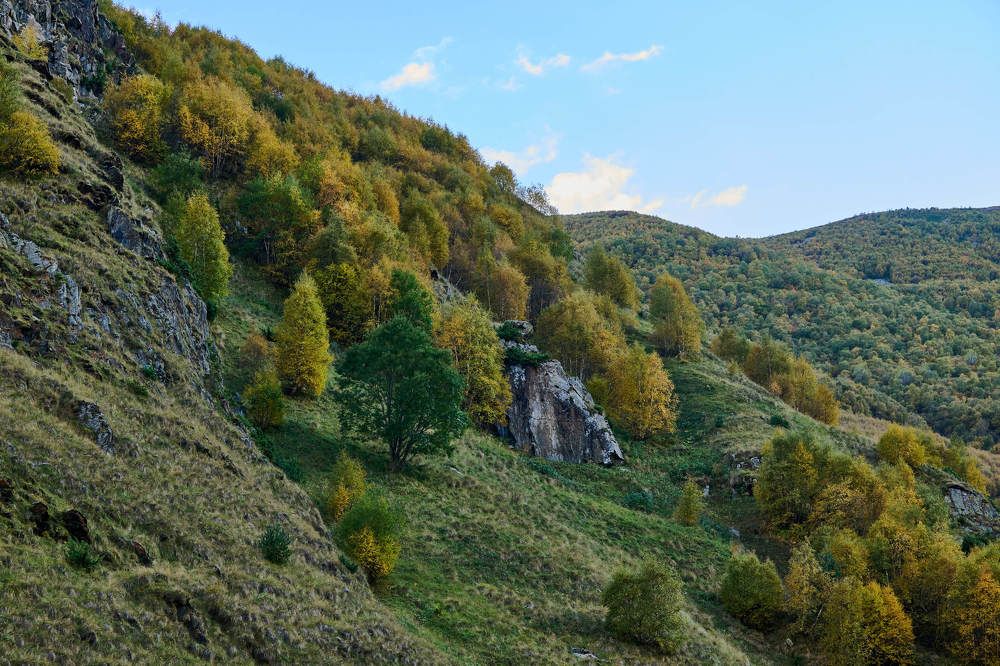 Photograph by Дмитрий Солодухин