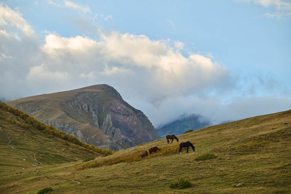 Photograph by Дмитрий Солодухин